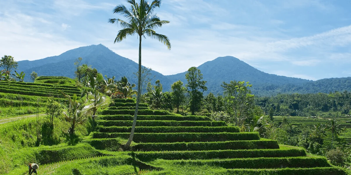 Indonesia 1-min.webp